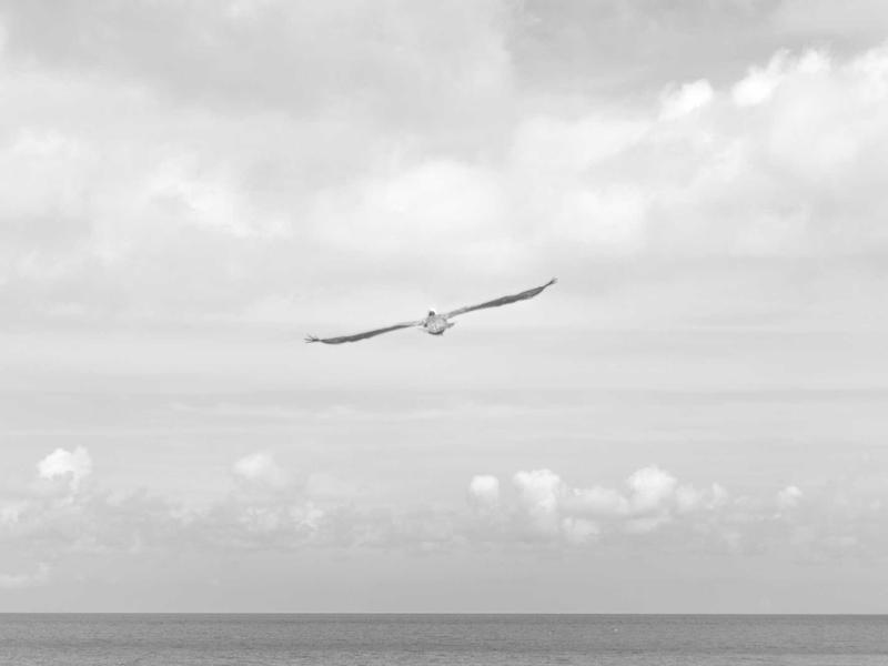 水世界漂流<br>ly8tfut.cn 深海钻井平台